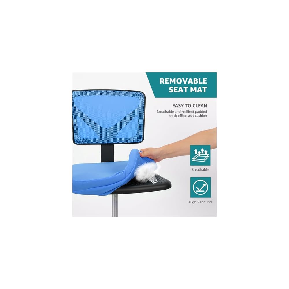 OLIXIS Armless Home Office Chair, Ergonomic Small Desk Chair